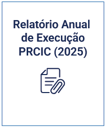 Relatório Anual de Execução PRCIC 2025 AIM